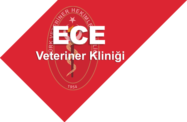 Ece Veteriner Kliniği