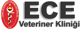 Ece Veteriner Kliniği